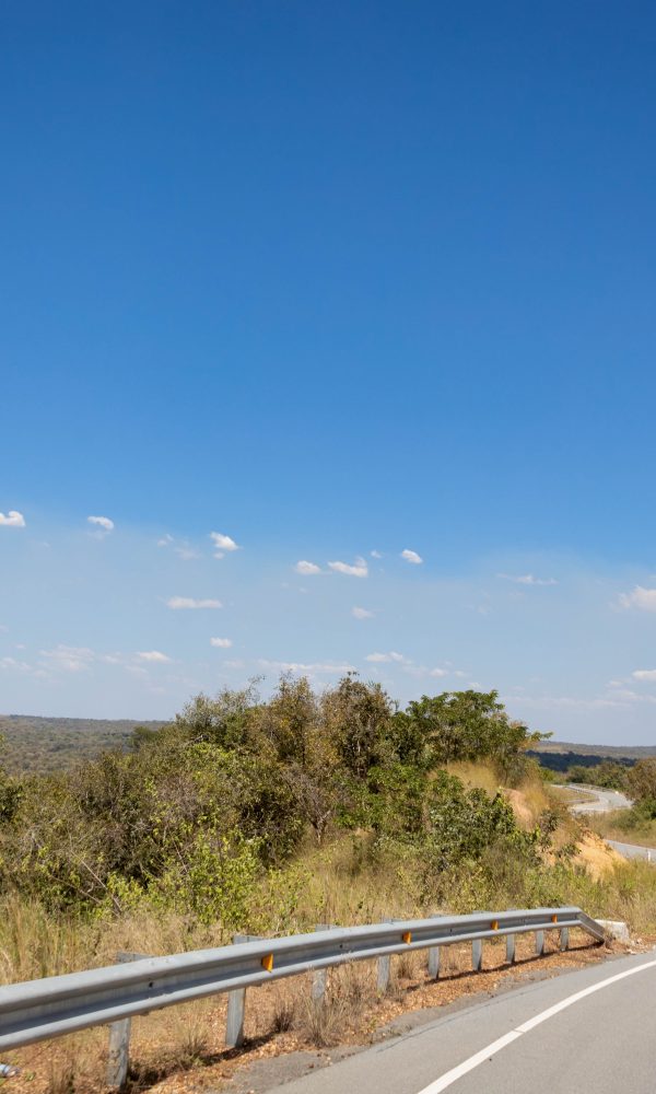 ALL IN AFRICA SAFARIS 49 4 600x1000