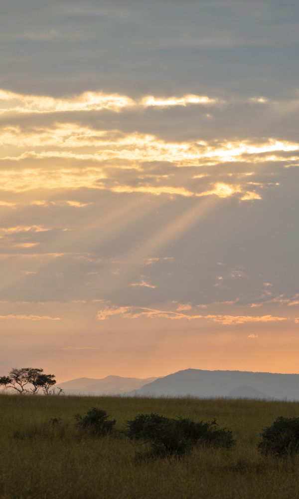 ALL IN AFRICA SAFARIS 61 3 600x1000