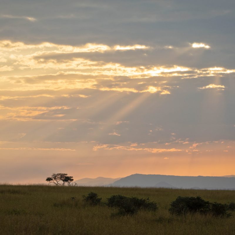 ALL IN AFRICA SAFARIS_61 (3)