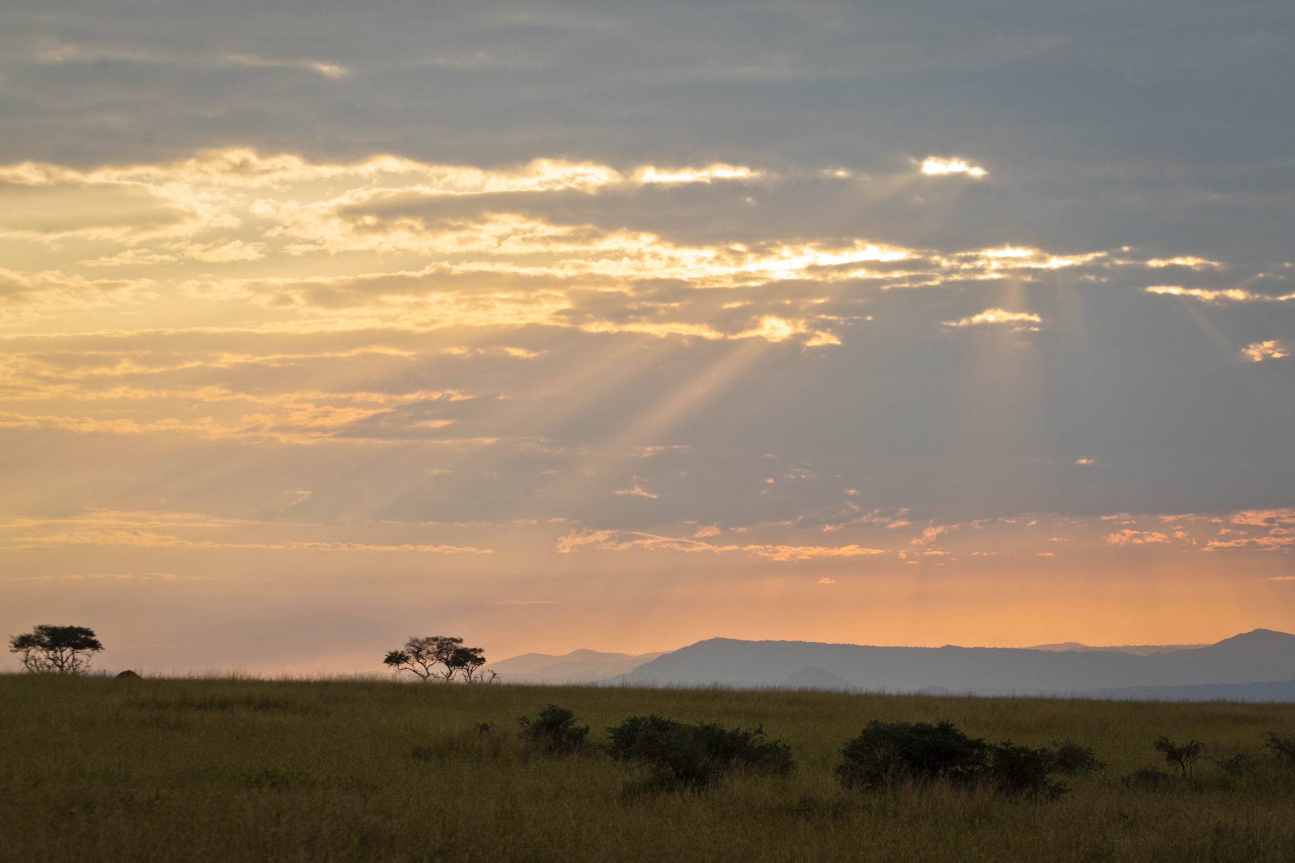 ALL IN AFRICA SAFARIS 61 3 scaled