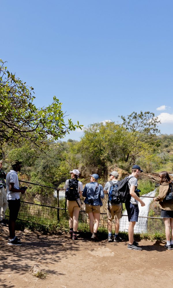 ALL IN AFRICA SAFARIS 61 4 600x1000