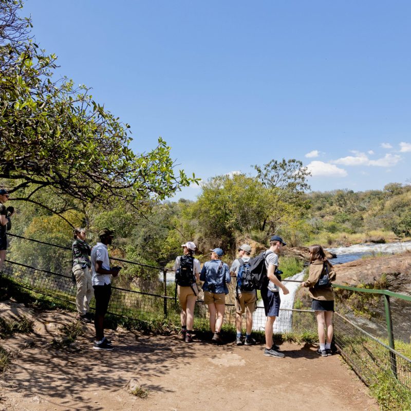 ALL IN AFRICA SAFARIS_61 (4) ALL IN AFRICA SAFARIS_61 (4)