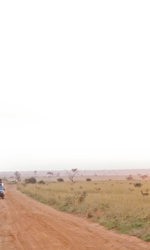 ALL IN AFRICA SAFARIS 76 3 1 600x1000