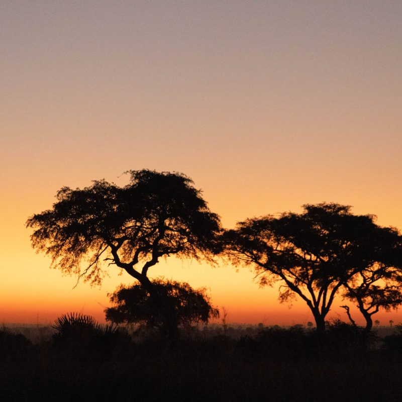 ALL IN AFRICA SAFARIS_77 (2) ALL IN AFRICA SAFARIS_77 (2)