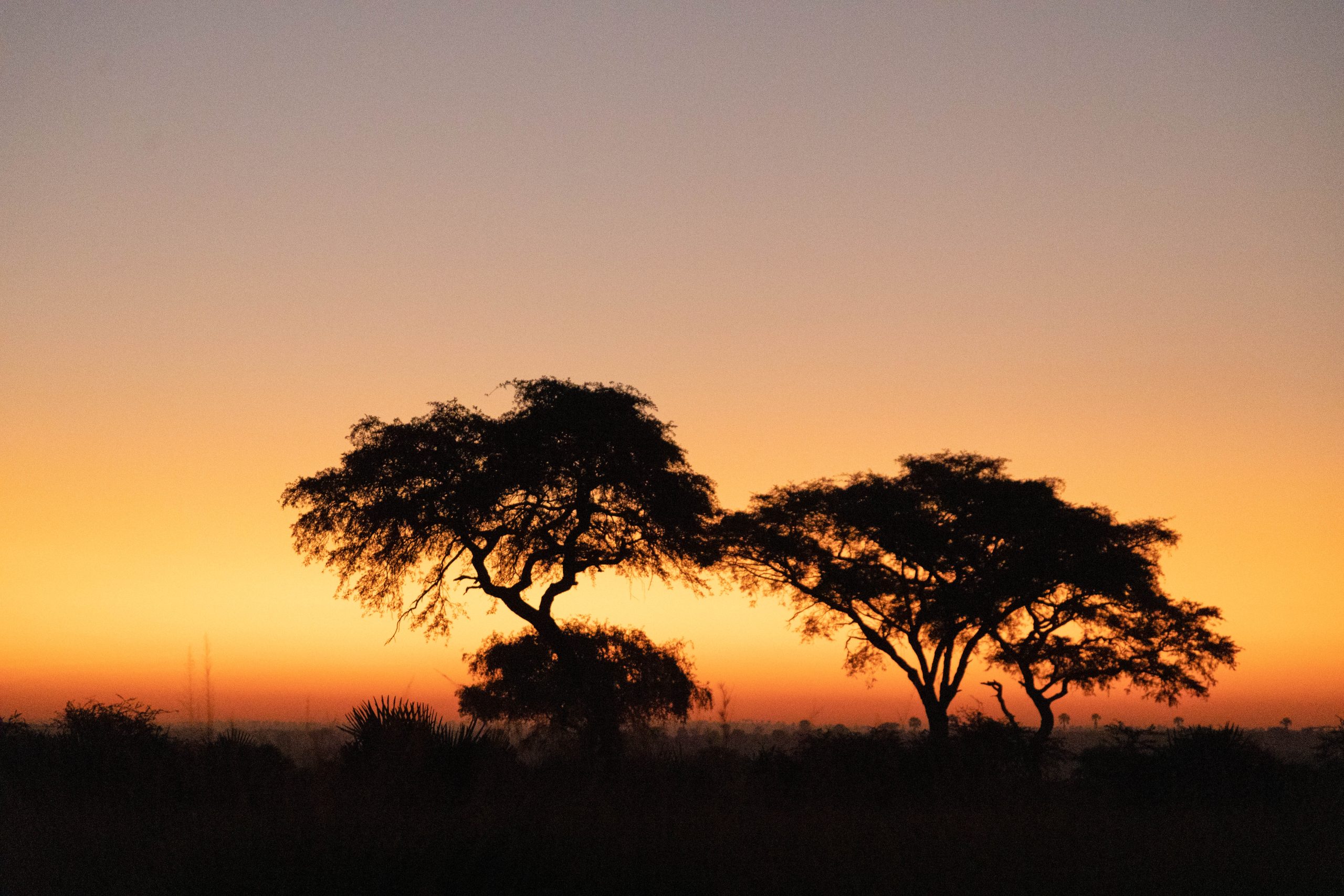 ALL IN AFRICA SAFARIS 77 2 scaled