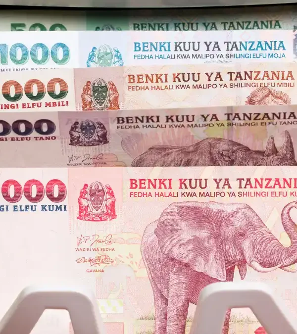 ATMs and Mobile Money in Tanzania 600x675