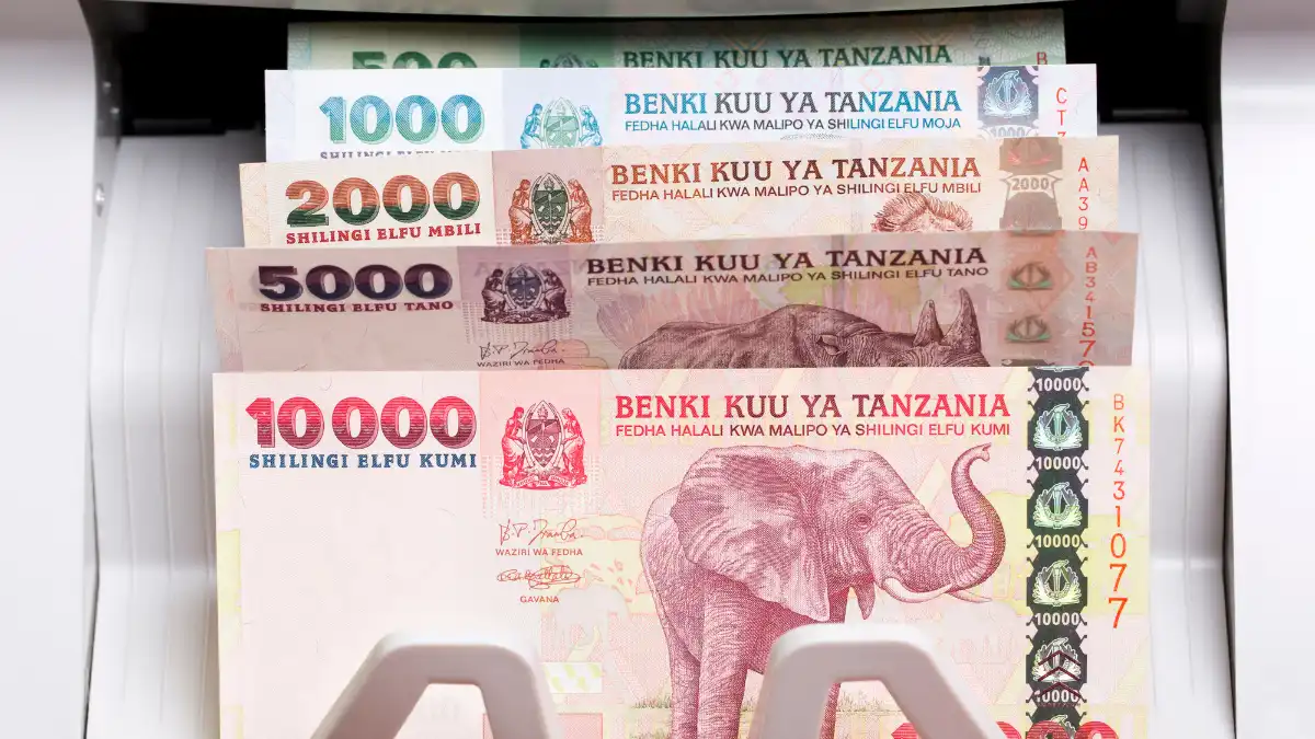 ATMs and Mobile Money in Tanzania