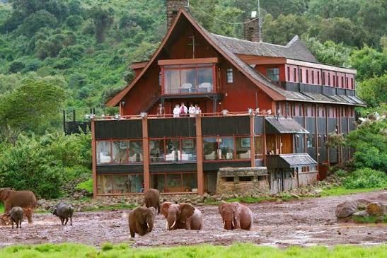 Aberdare National Park: Treehouse Lodges and Mountain Forests