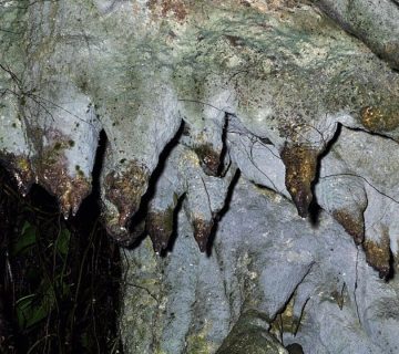 Amabere Caves Fort Portal 360x320