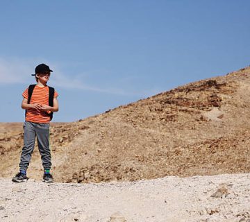 Autistic Travellers on Safari: Sensory Planning and Quiet Routines