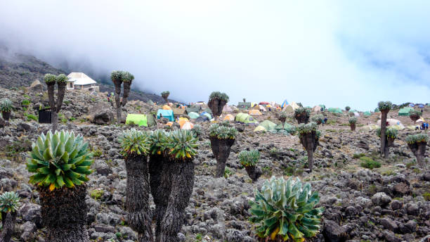 Base Layers for Kilimanjaro Summit Night: How to Stay Warm and Comfortable