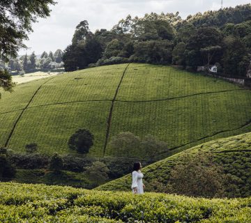 Best Free Things to Do in Nairobi for Budget Travelers 360x320