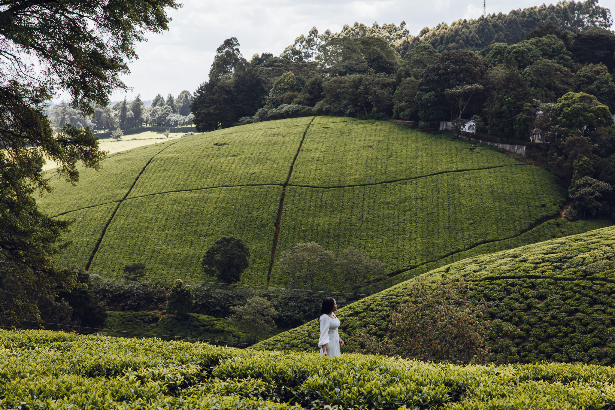 Best Free Things to Do in Nairobi for Budget Travelers