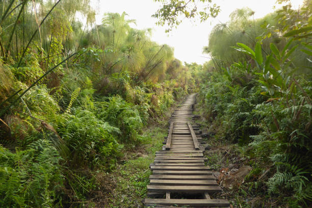 Bigodi Wetland Sanctuary