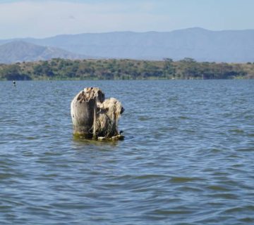 Bilharzia in East African Lakes: Where Swimming Is Unsafe