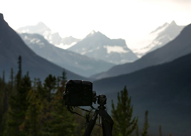 Binoculars and Camera Together: Dividing Your Attention on a Game Drive