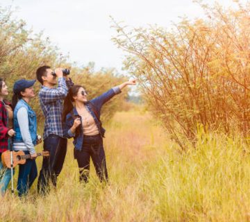 Birding for Beginners: Setting Up Your First Day With a Guide