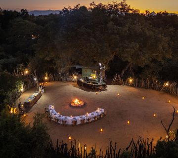 Birthdays on Safari: Planning a Milestone Celebration in the Bush