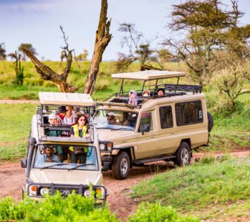 Booking a Safari for a Large Family: Rooms, Vehicles and Costs