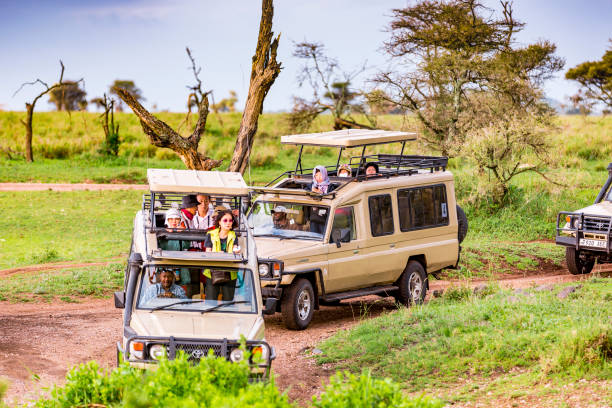 Booking a Safari for a Large Family: Rooms, Vehicles and Costs