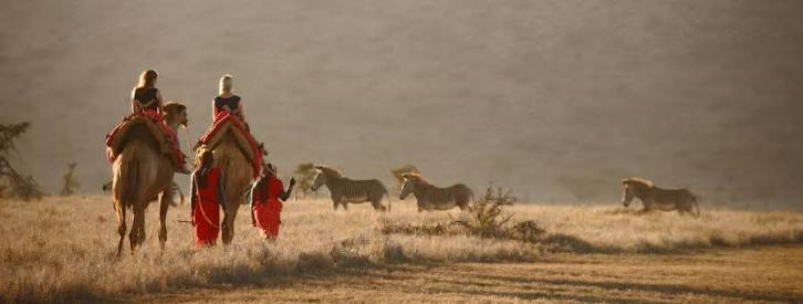 Camel Safaris in Northern Kenya: Slow Travel With Nomads