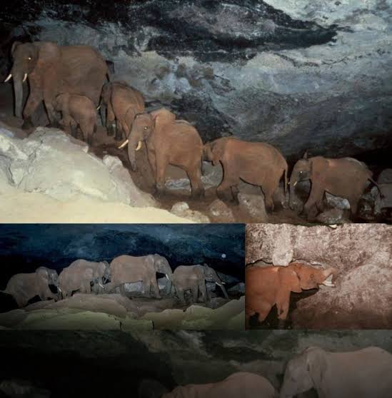 Caving in Kenya: Kitum Cave and Elephant Salt Miners