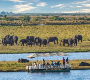 Chobe National Park Boat Safaris: Watching Elephants Cross the River