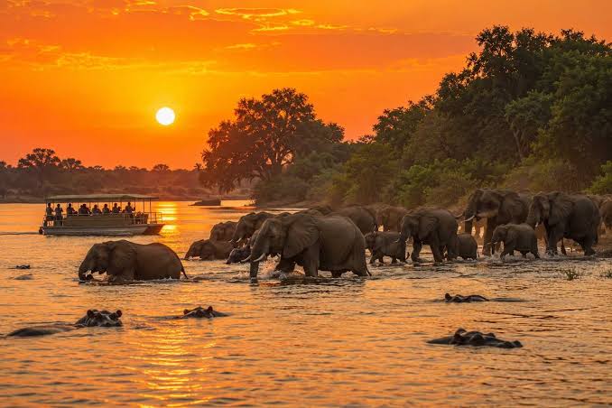 Chobe National Park: River Safaris and Elephant Herds