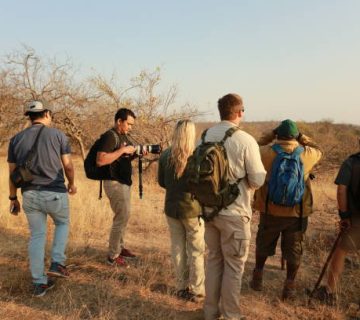 Citizen Science on Safari: Recording Sightings for Researchers