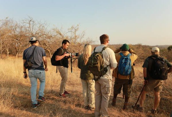 Citizen Science on Safari: Recording Sightings for Researchers