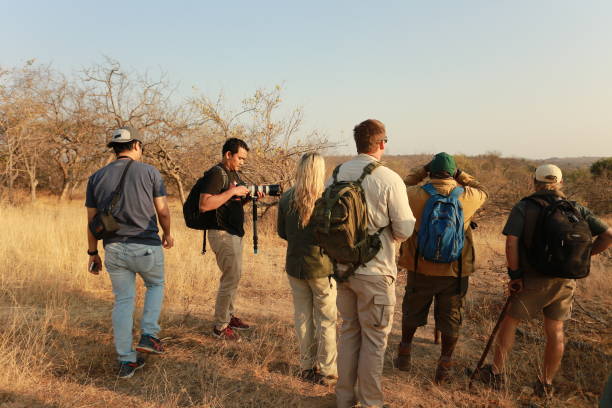 Citizen Science on Safari: Recording Sightings for Researchers