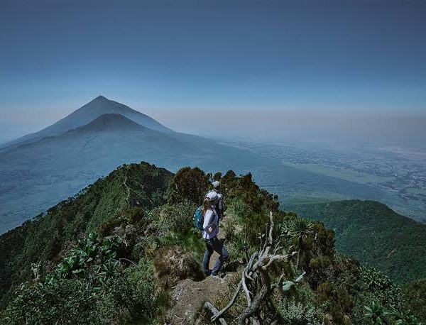 Climbing Mount Muhabura: The Toughest Virunga Day Hike