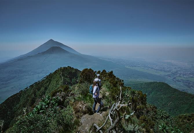 Climbing Mount Muhabura: The Toughest Virunga Day Hike