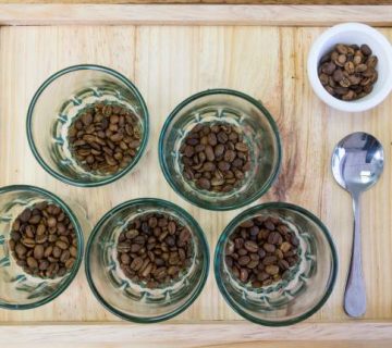 Rwandan Coffee Cupping: Tasting Bourbon Beans in Huye