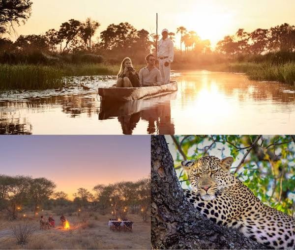 Combining East and Southern Africa in One Trip: Routes and Flights