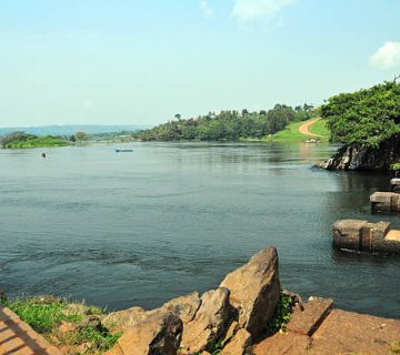 Cycling Fort Portal's Tea Estates: Routes and Rentals