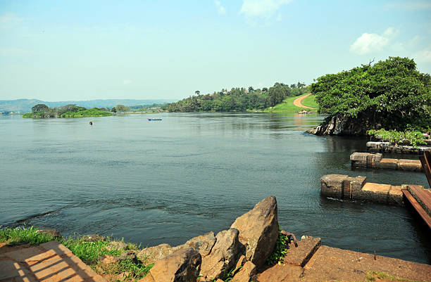 Cycling Fort Portal's Tea Estates: Routes and Rentals