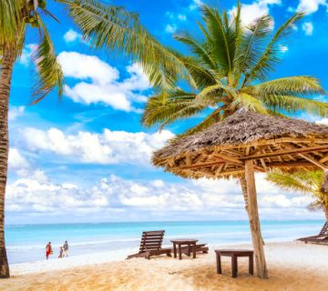 Diani Beach Beyond the Sand: Colobus Forests, Reefs and Shimba Hills Trips