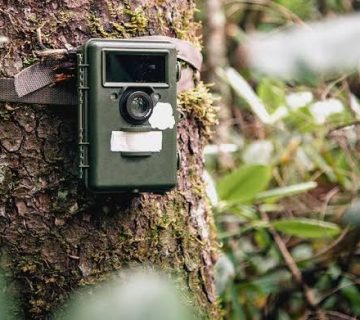 Do Wildlife Cameras and Camera Traps Help Rangers?