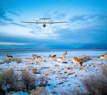 Drone Photography Ethics at Wildlife Sites