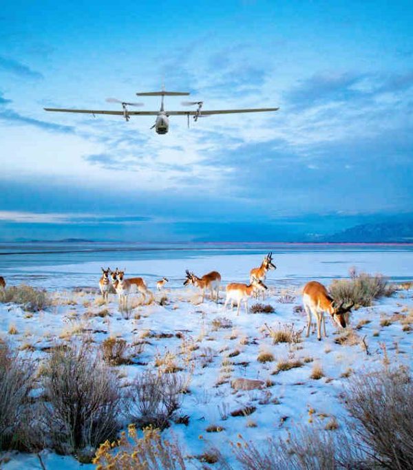 Drone Photography Ethics at Wildlife Sites