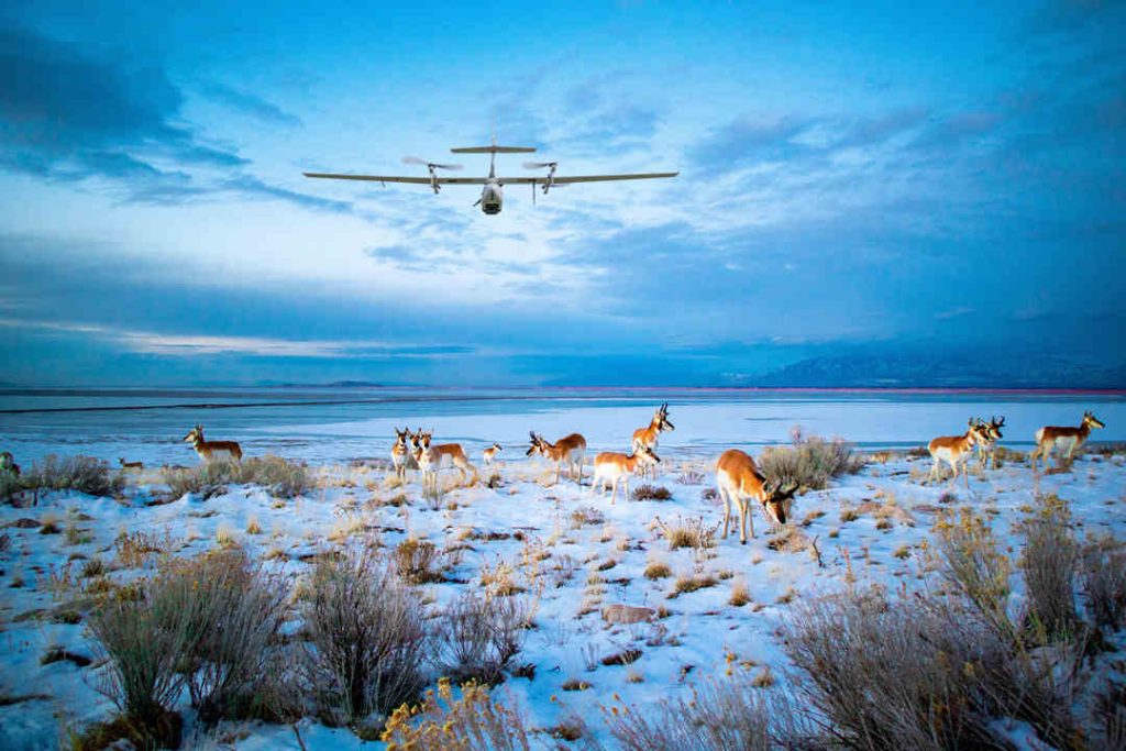 Drone Photography Ethics at Wildlife Sites