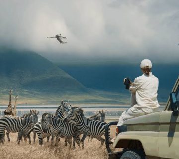 Eid and Safari Travel: Planning Around Holiday Closures