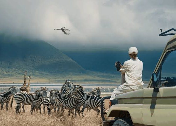 Eid and Safari Travel: Planning Around Holiday Closures