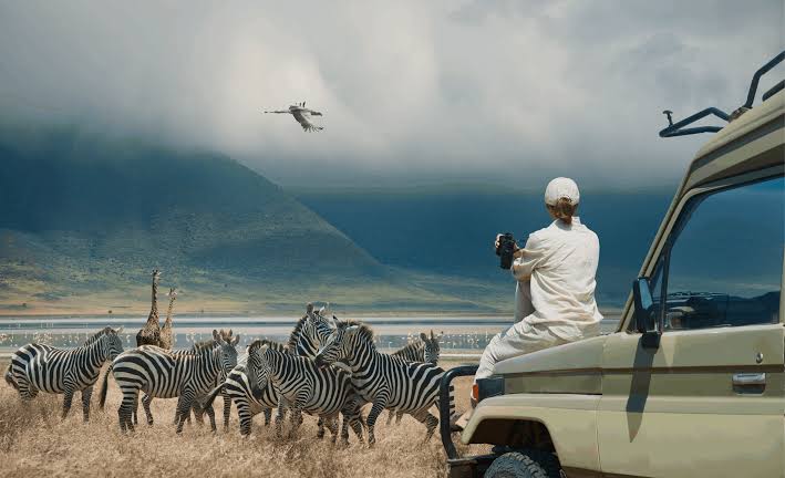 Eid and Safari Travel: Planning Around Holiday Closures