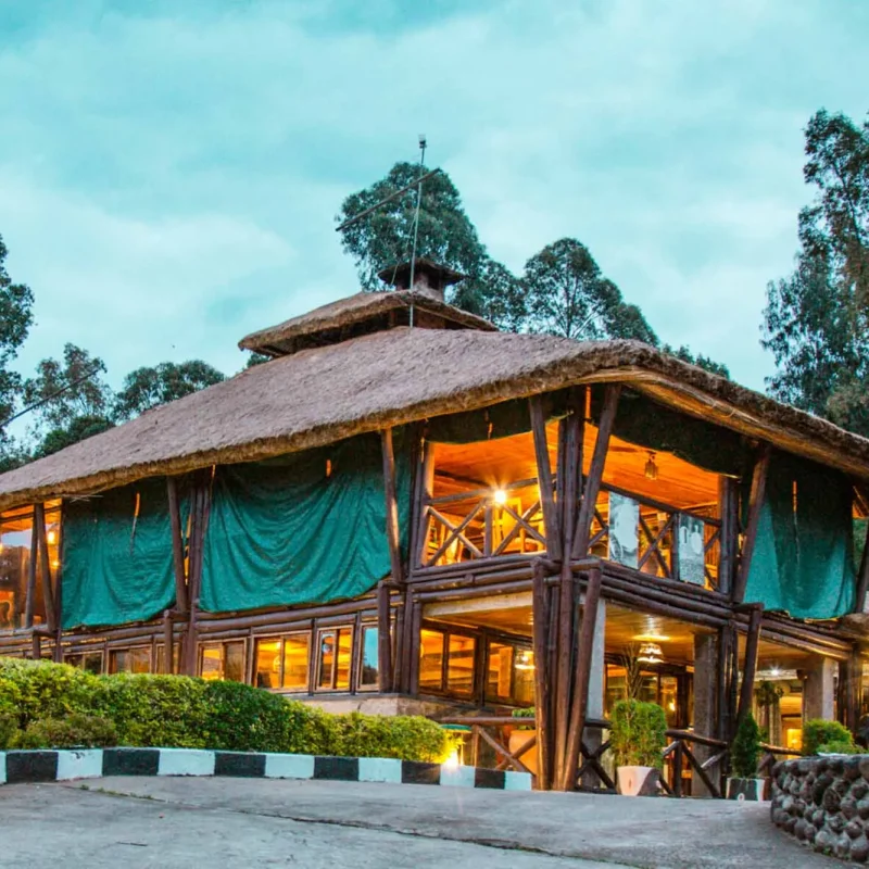 Family Lodges