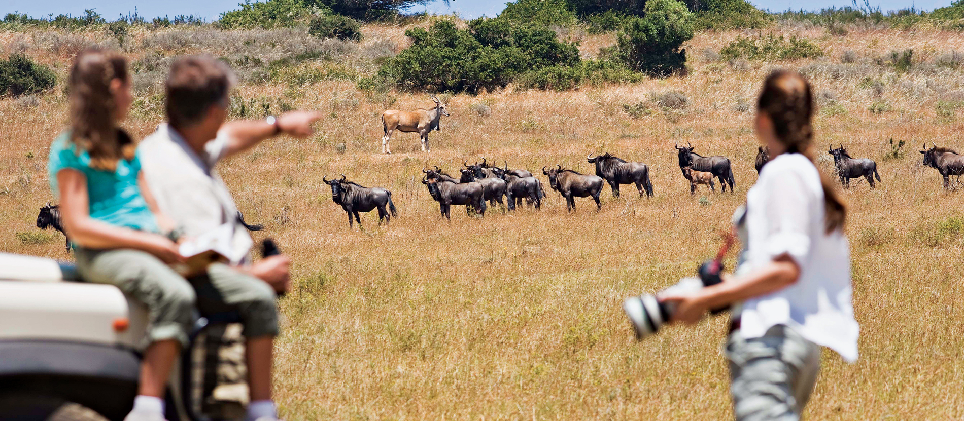 Family Friendly Group Safaris in Tanzania