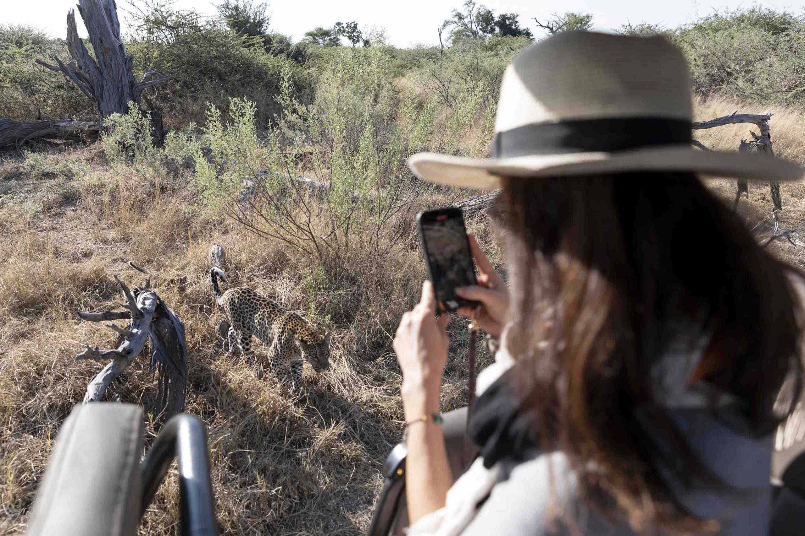 Filming Wildlife With a Phone or a Mirrorless Camera: Which Is Better for Safari?