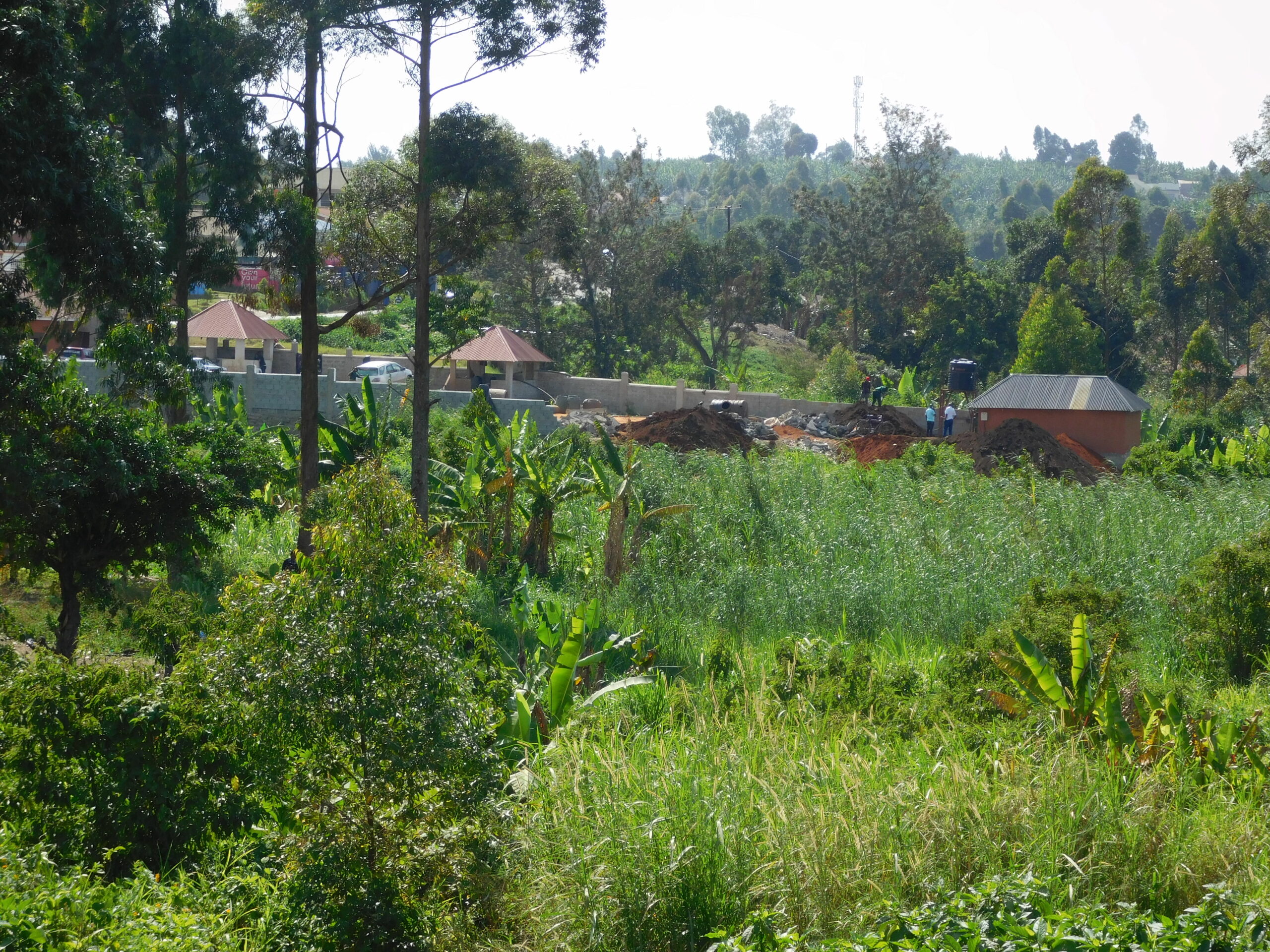 Fort Portal Town