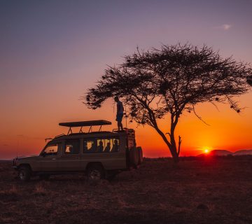 Game Drives 360x320